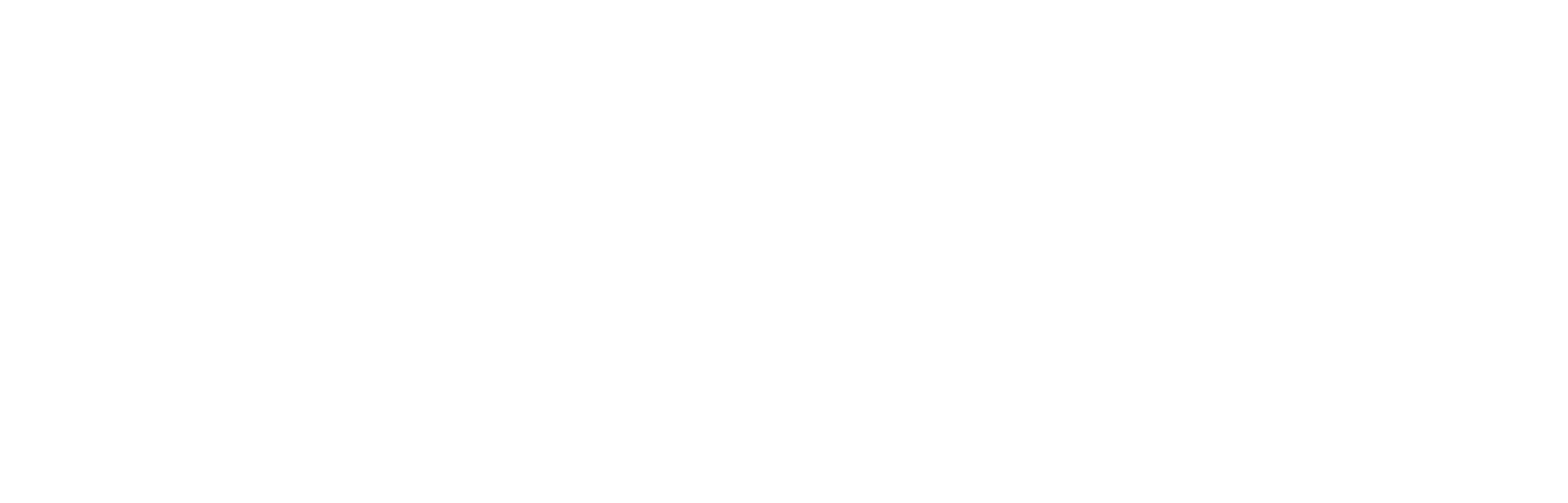 IMPETUS FORKLIFT